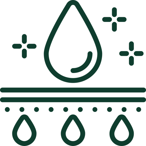 Feature Icon